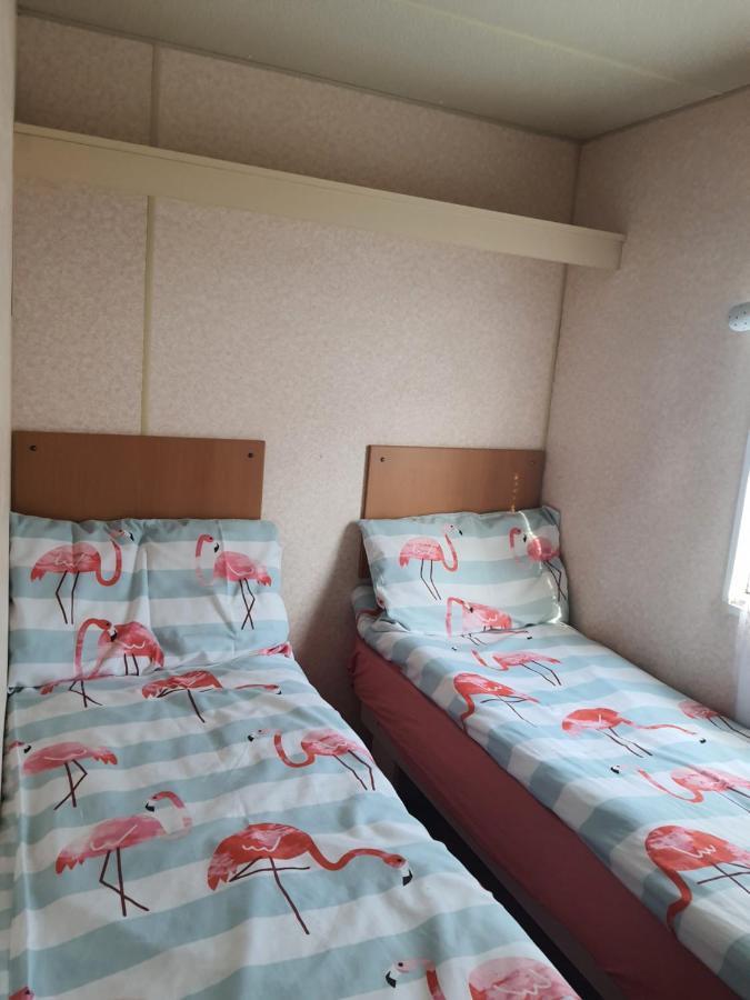 Wieczorne Mgly Campsite